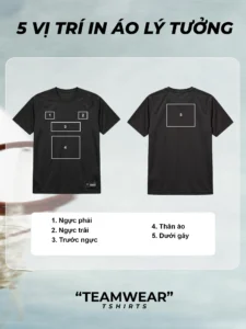 ANT2603-ao-thun-the-thao-team-wear-4.webp